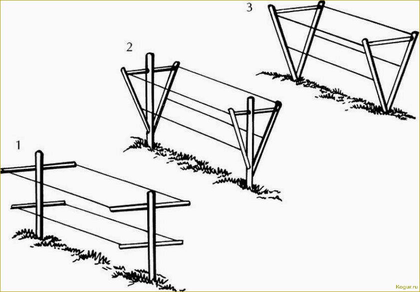 Как сделать опору или шпалеру для малины своими руками