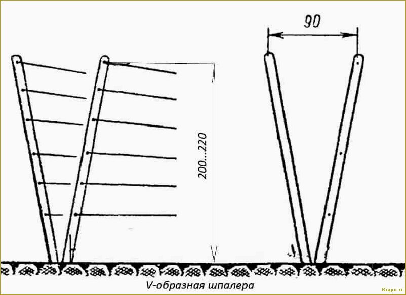 Как сделать опору или шпалеру для малины своими руками