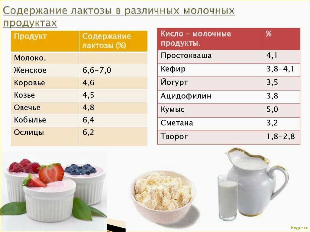 Как выбрать лучшее молоко: разнообразие видов и советы по выбору