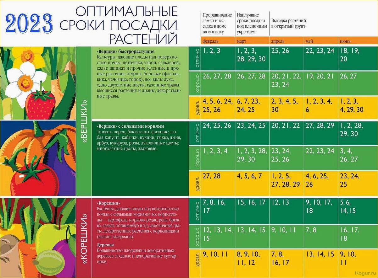 План действий для дачника в ноябре: необходимые работы на грядках и огороде