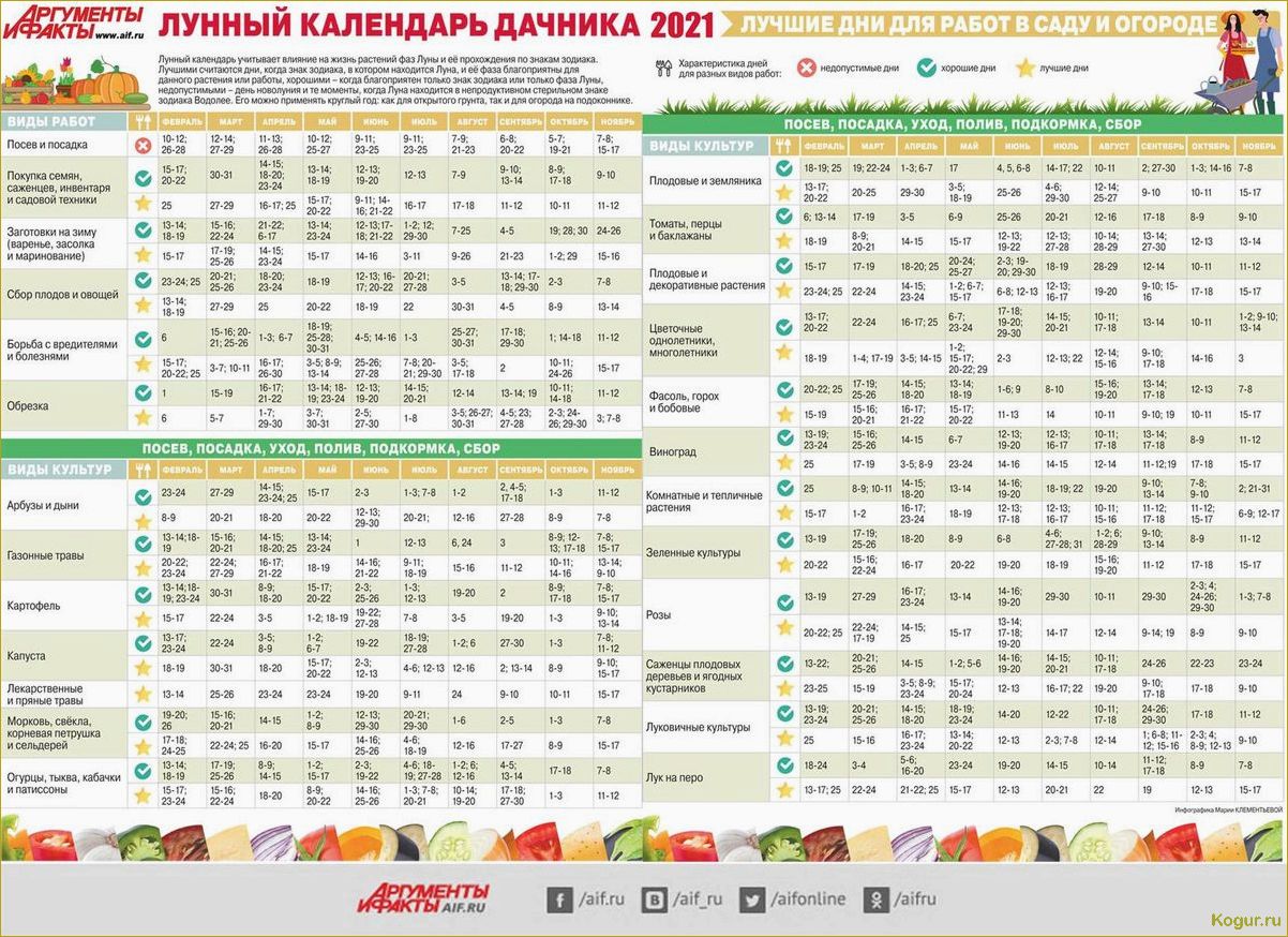 План действий для дачника в ноябре: необходимые работы на грядках и огороде