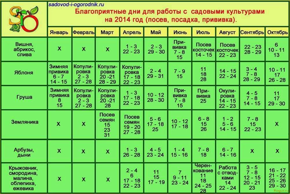 Садовые работы в ноябре: что нужно делать в саду по календарю дачника