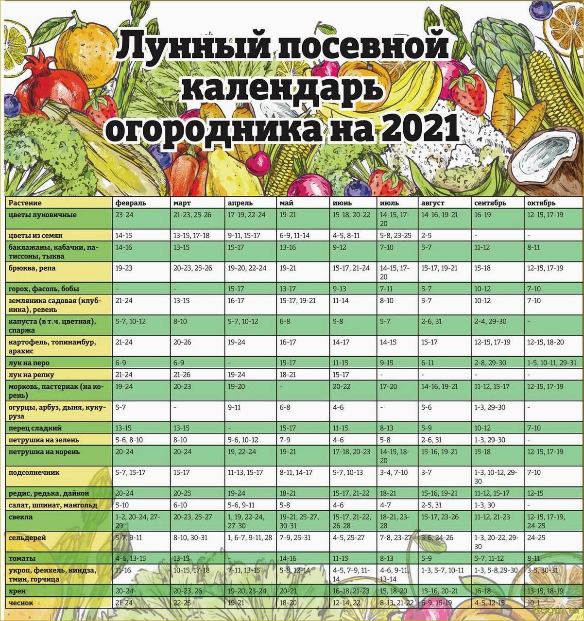 Садовые работы в ноябре: что нужно делать в саду по календарю дачника