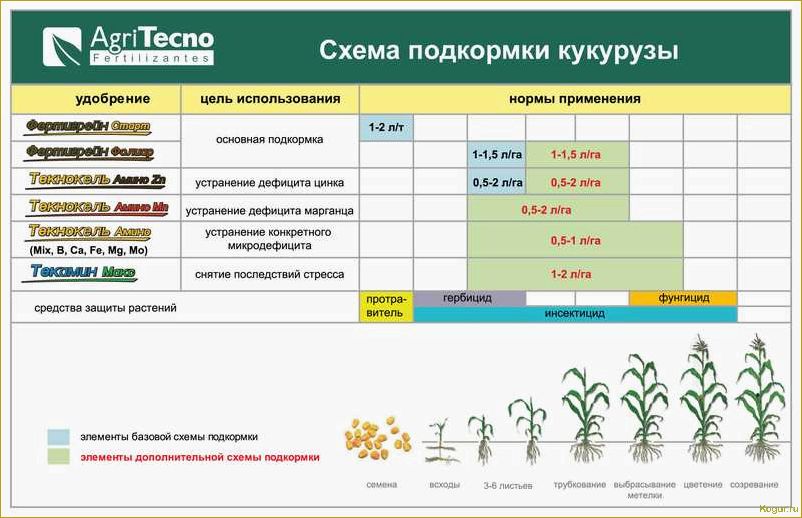 Когда и какие гербициды для кукурузы лучше использовать