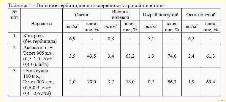 Когда и какие гербициды для кукурузы лучше использовать