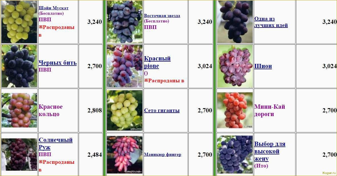 Лучшие сорта винограда на продажу