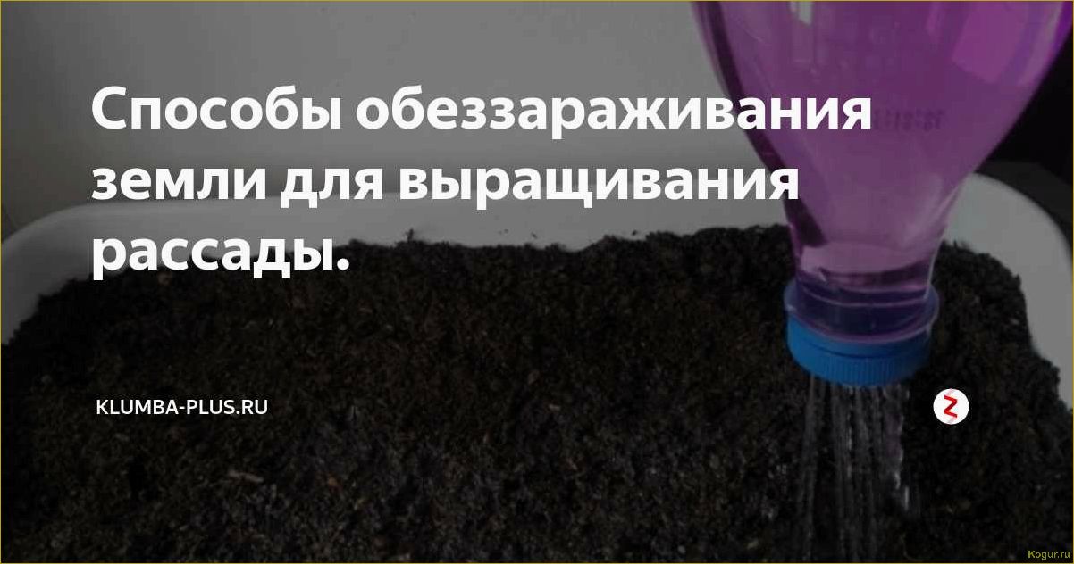 Лучшие способы обеззараживания почвы для создания оптимальных условий для растений