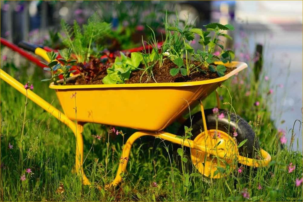 Садовая тележка — неотъемлемый инструмент для дачника-садовода