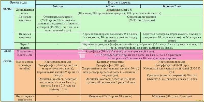 Сроки проведения обработки сада мочевиной с медным купоросом весной