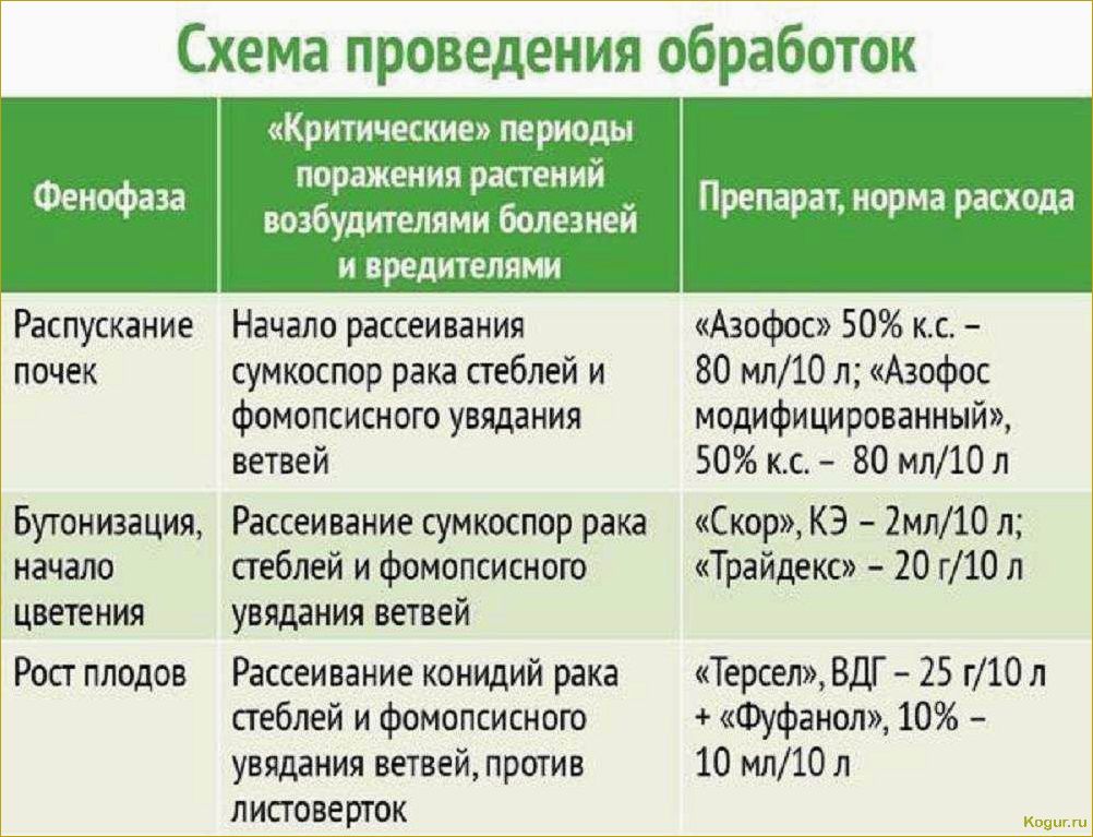 Сроки проведения обработки сада мочевиной с медным купоросом весной