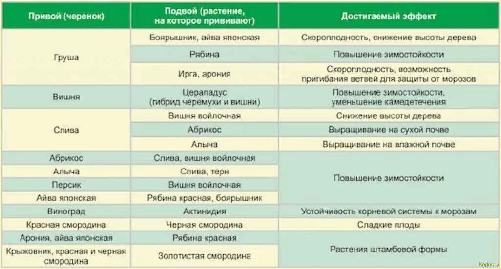 Особенности опыления плодовых деревьев и значение самобесплодных сортов