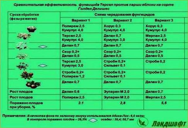 Инструкция по применению эффективного фунгицида Полирам для защиты урожая