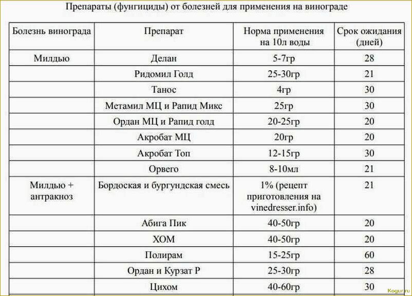 Инструкция по применению эффективного фунгицида Полирам для защиты урожая