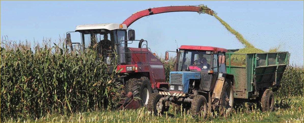 Качественная уборка кукурузы с поля на зерно, силос и початки