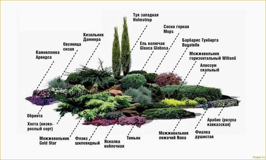 Как создать красивую схему посадки цветов на даче