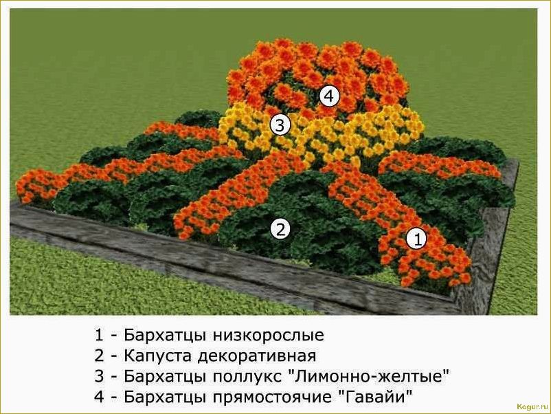 Как создать красивую схему посадки цветов на даче