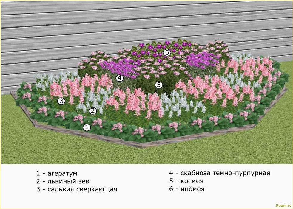 Как создать красивую схему посадки цветов на даче