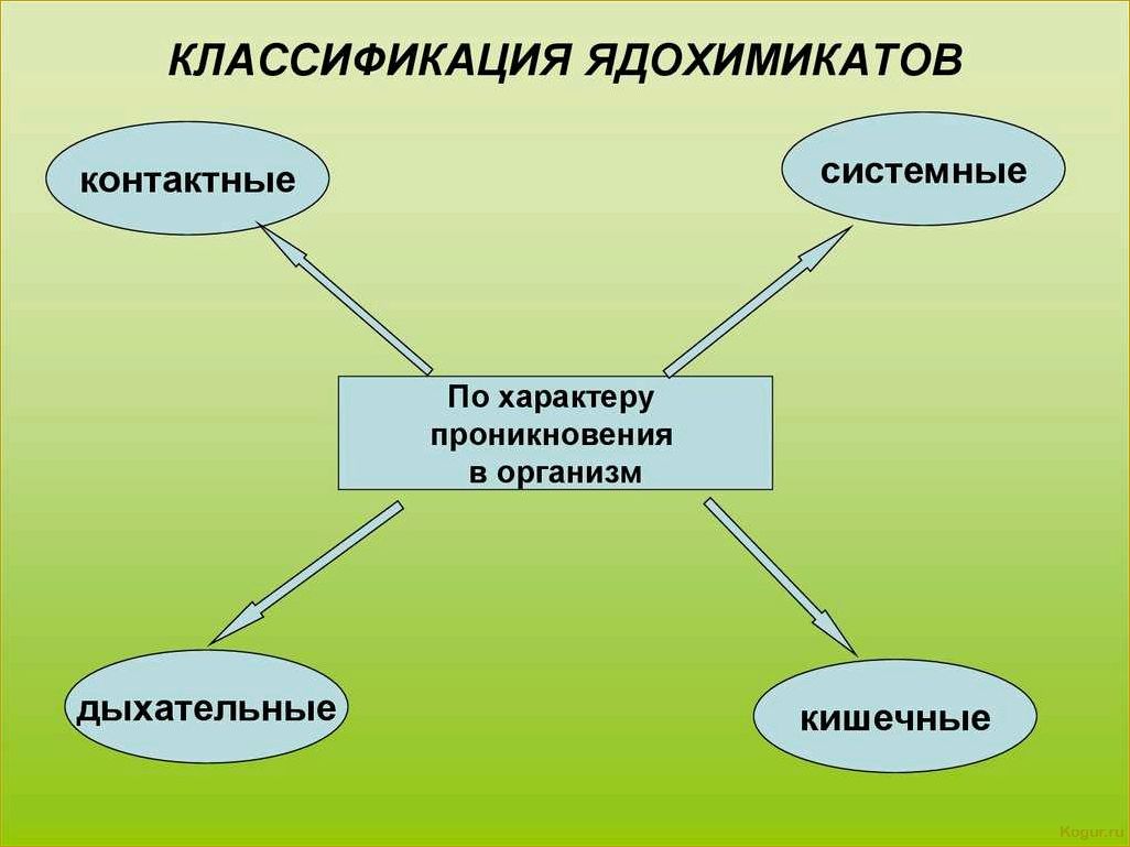 Классификация инсектицидов — все от А до Я