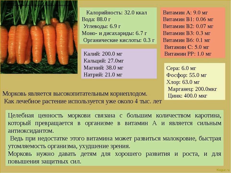 Лучшие сорта моркови с фотографиями: обзор и советы по выбору