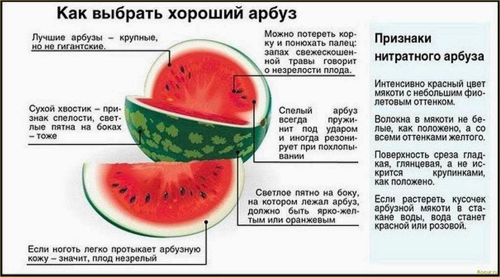 Осторожный подход в употреблении арбуза во время беременности