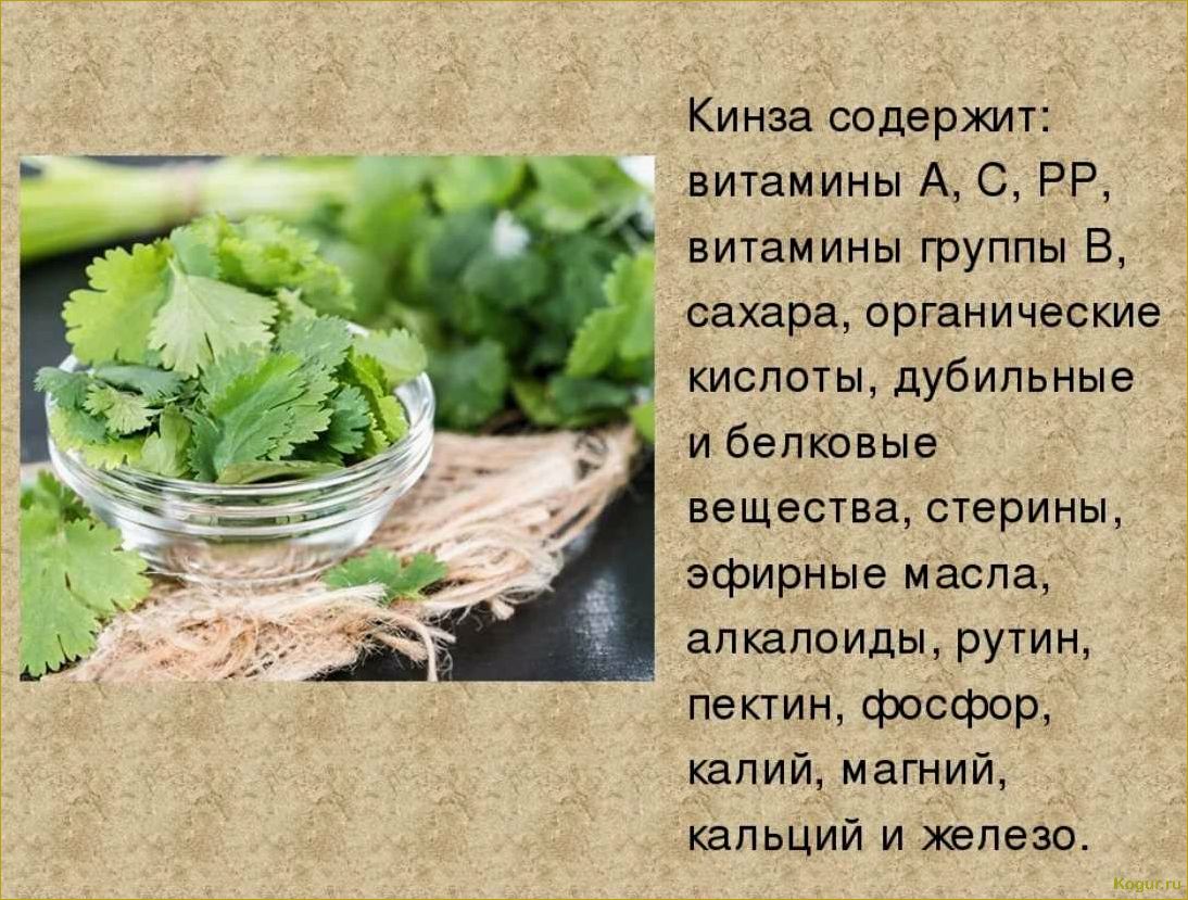 Полезные свойства кинзы и применение в народной медицине