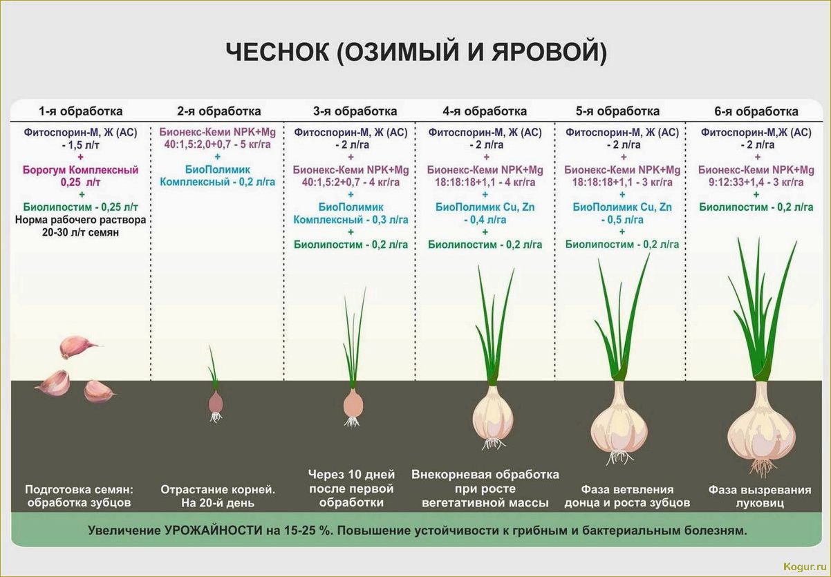 Посадка моркови на Урале