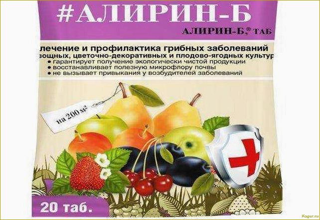 Препарат «Алирин-Б»: инструкция по применению фунгицида