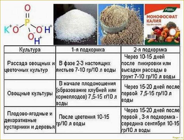 Использование удобрения монофосфат калия для увеличения плодородности почвы и повышения урожайности.