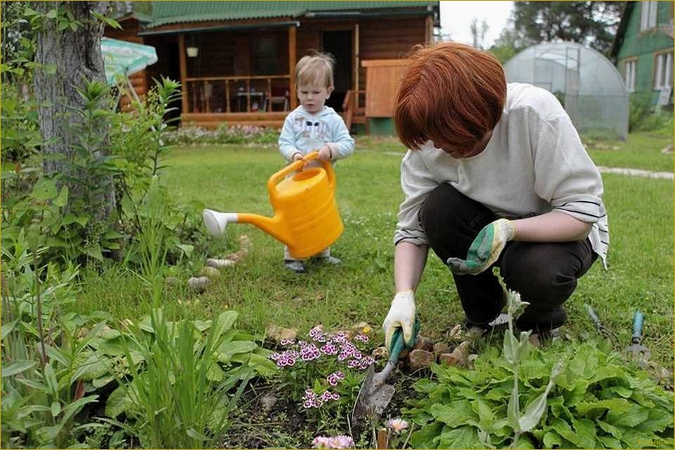 Увлекательные задачи для дачника на огородных грядках в августе