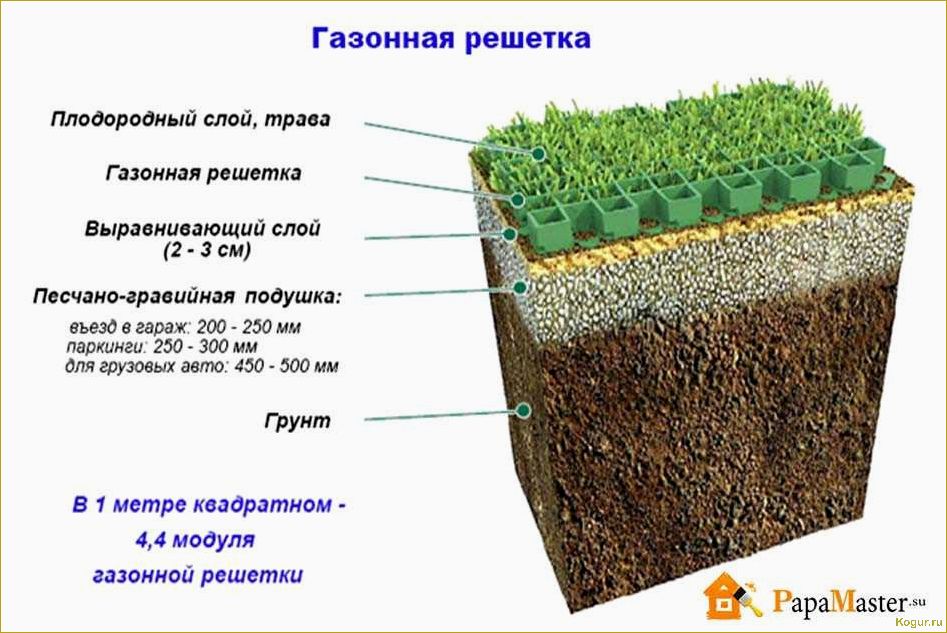 Как выбрать подходящий газон для почвы с высоким содержанием глины