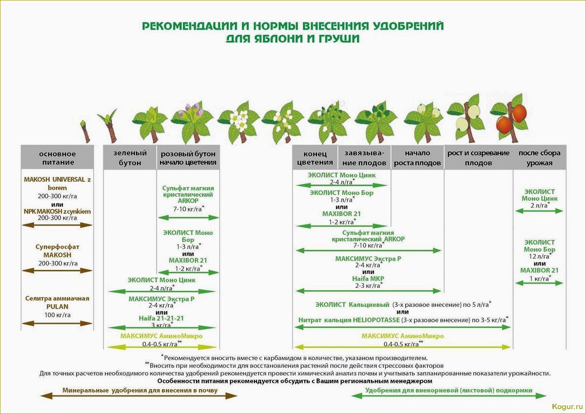 Жидкие азотные удобрения для хорошего урожая на дачном участке