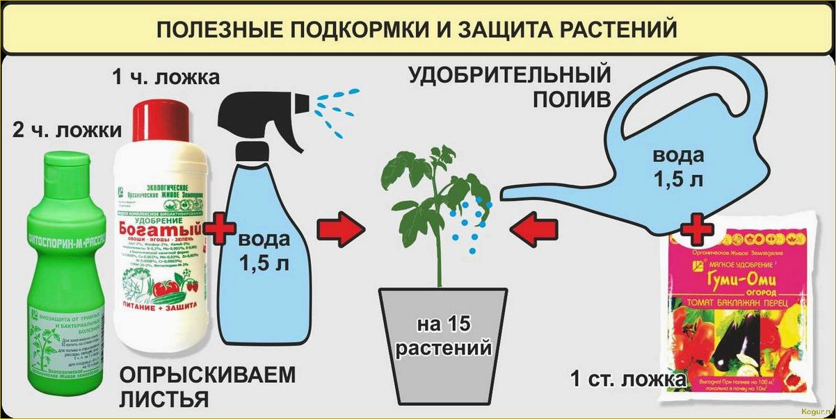 Жидкие азотные удобрения для хорошего урожая на дачном участке