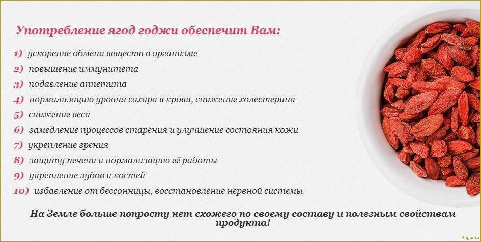 Доступная экзотика для ваших садов — ягода годжи