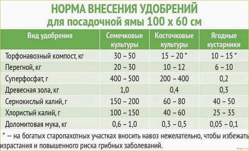 Голубая ель: как ухаживать и подкармливать различные сорта для быстрого роста