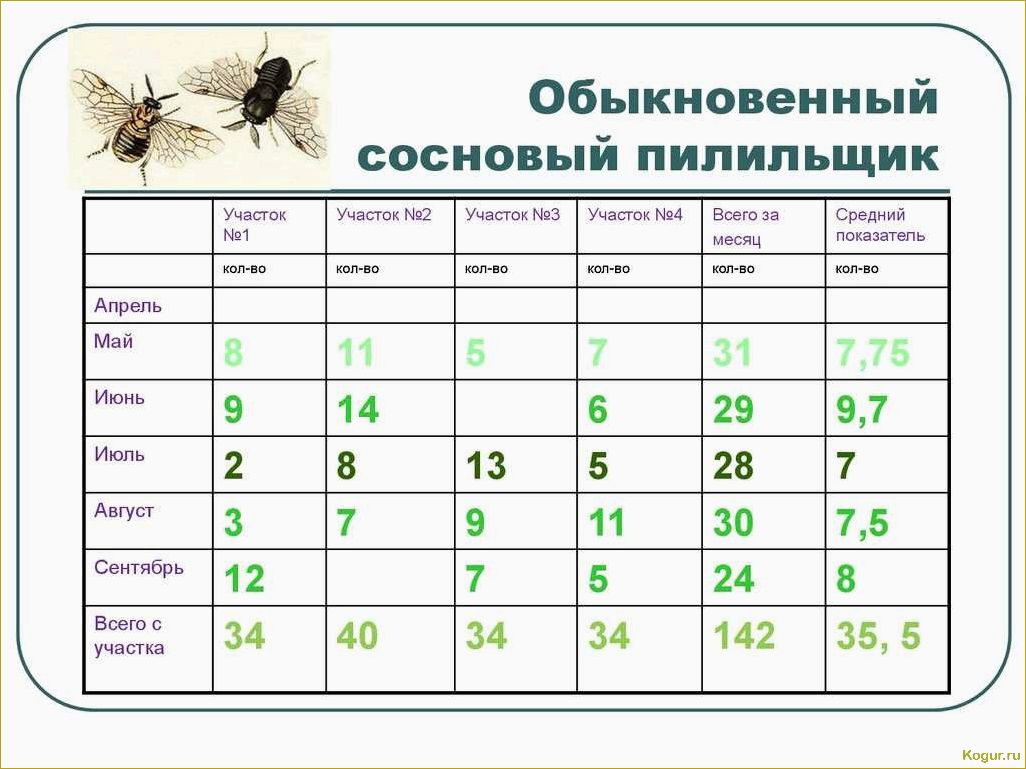 Методы, которые помогут эффективно бороться с сосновым пилильщиком