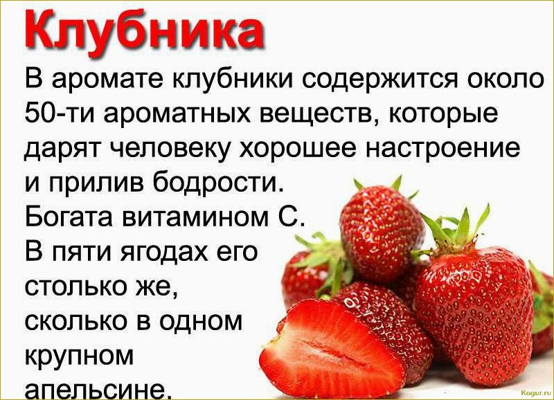 Клубника: вкусная и полезная ягода для здоровья