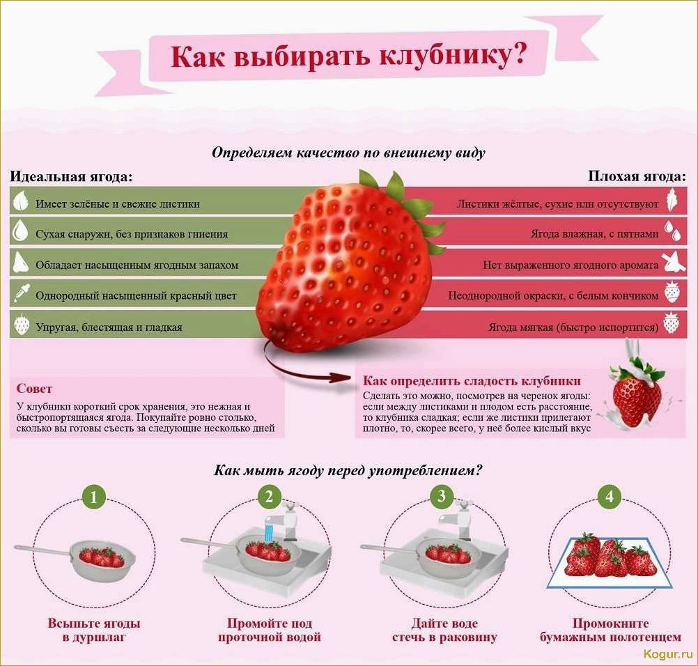 Клубника: вкусная и полезная ягода для здоровья