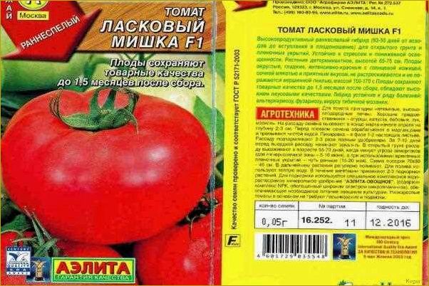 Крупный томат Мишка косолапый на дачных грядках