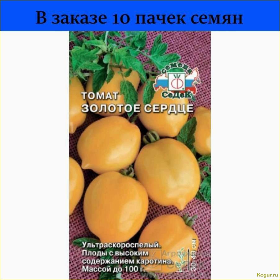 Ультраскороспелый томат Золотое сердце: особенности выращивания и ухода