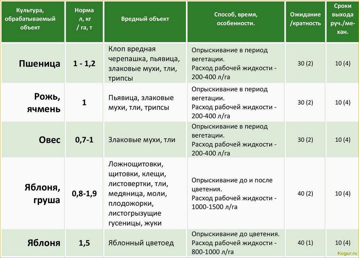 Как правильно применять препарат 