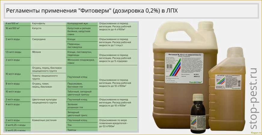 Как правильно применять препарат 