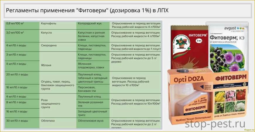 Как правильно применять препарат 