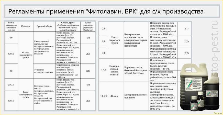 Как правильно применять препарат 