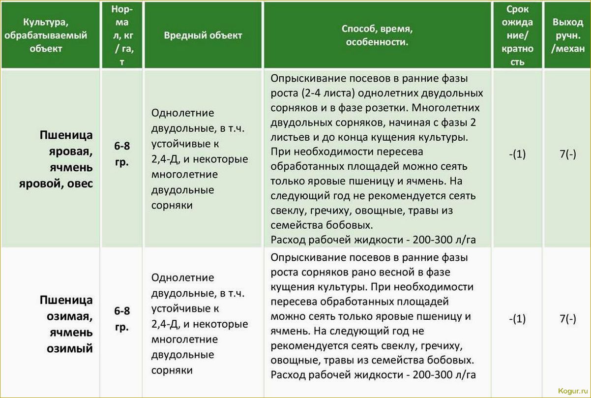 Эффективное применение современного гербицида Корсар для защиты посевных культур от сорняков