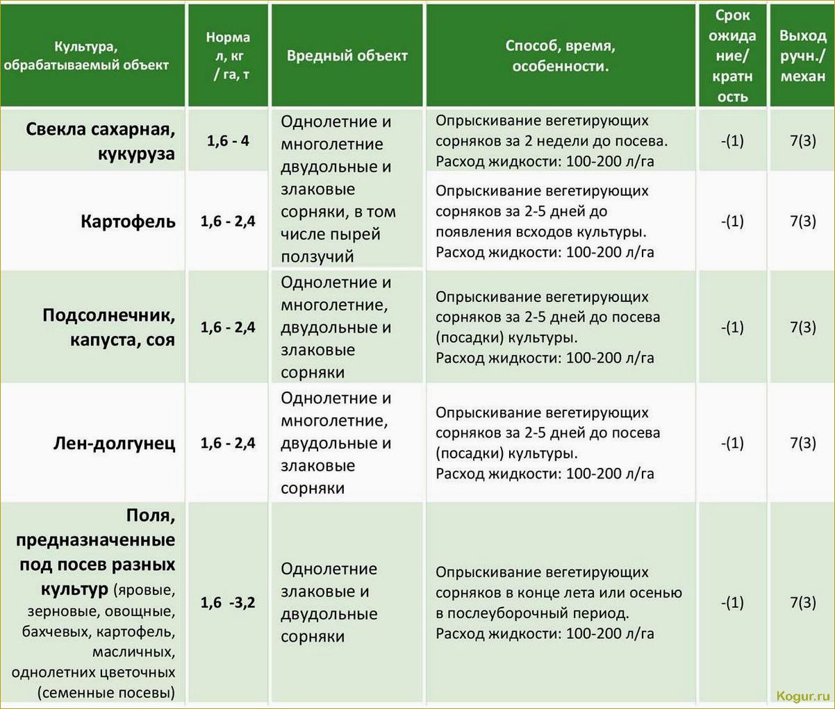 Эффективное применение современного гербицида Корсар для защиты посевных культур от сорняков