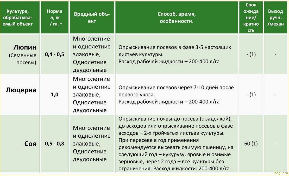 Эффективное применение современного гербицида Корсар для защиты посевных культур от сорняков