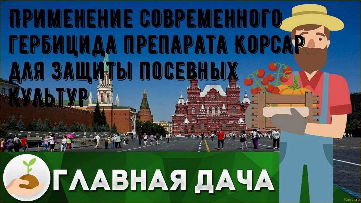 Эффективное применение современного гербицида Корсар для защиты посевных культур от сорняков