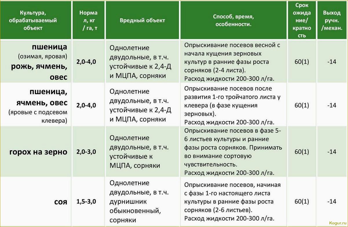 Эффективное применение современного гербицида Корсар для защиты посевных культур от сорняков