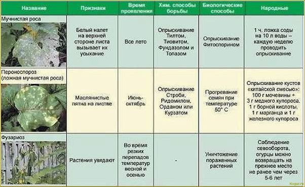 Пустоцвет на огурцах: причины появления и способы борьбы