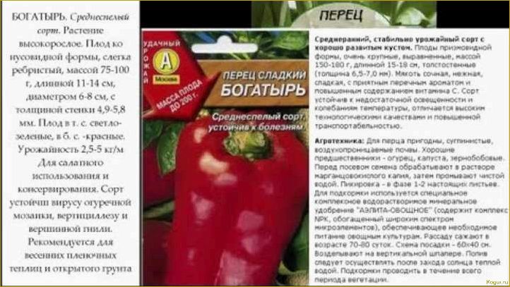 Описание и фотографии различных сортов сладкого толстостенного перца